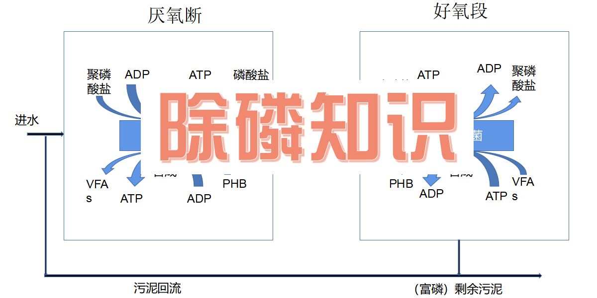 除磷知识