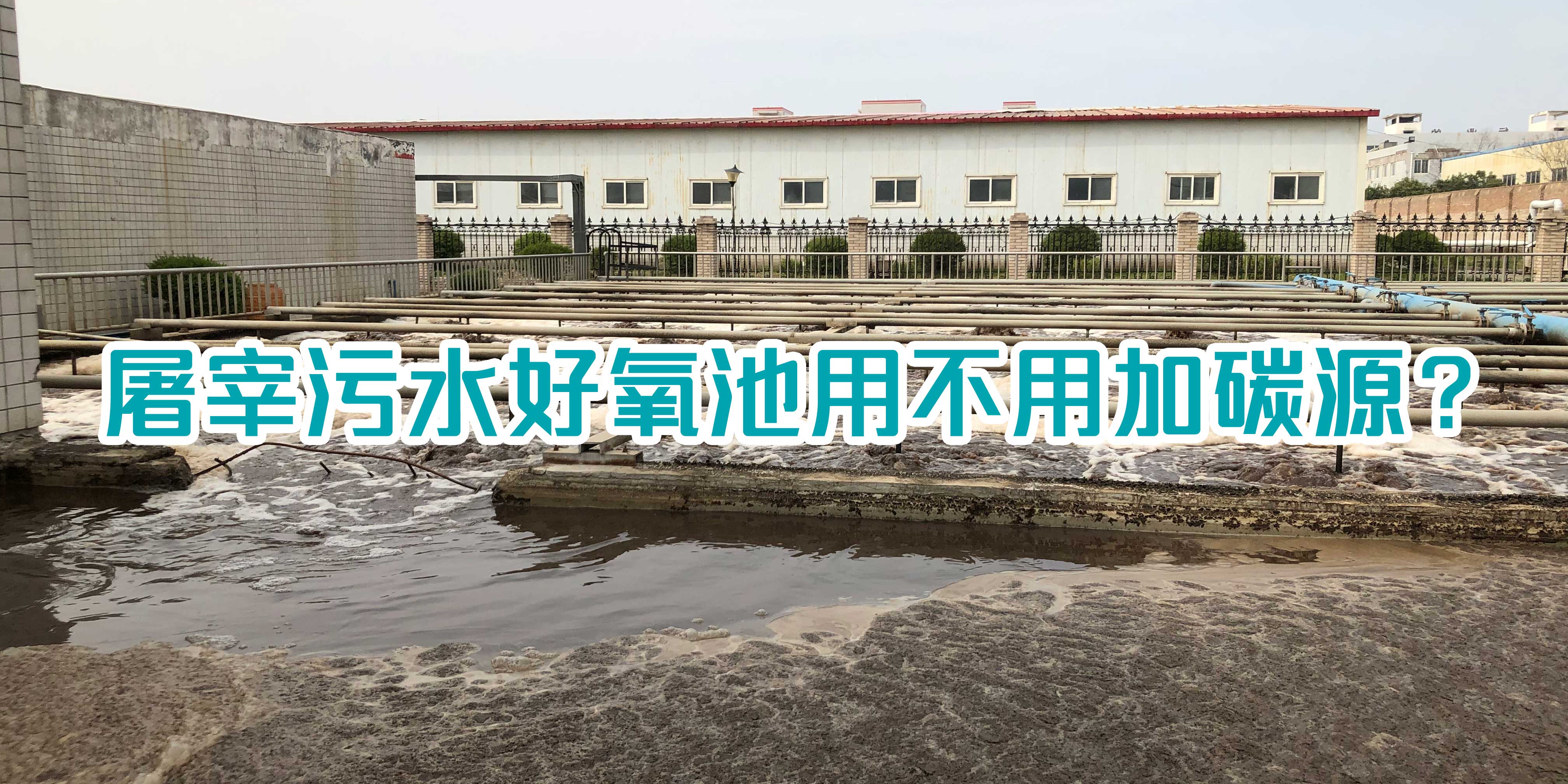 屠宰污水好氧池用不用加碳源？